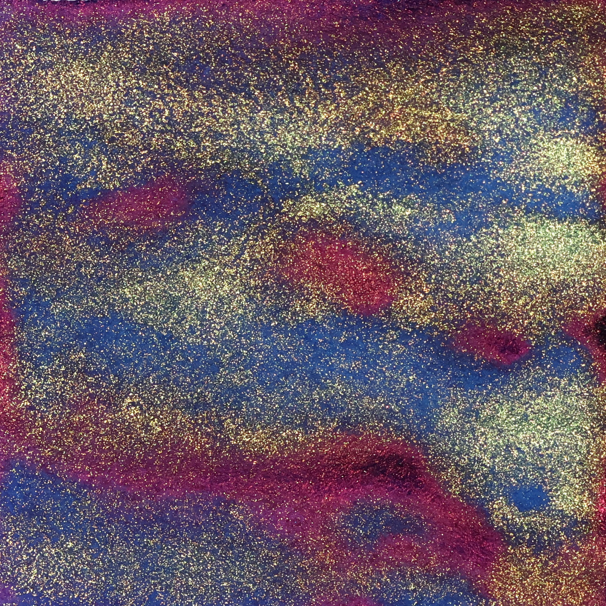 Glasswing Butterfly Twinkle