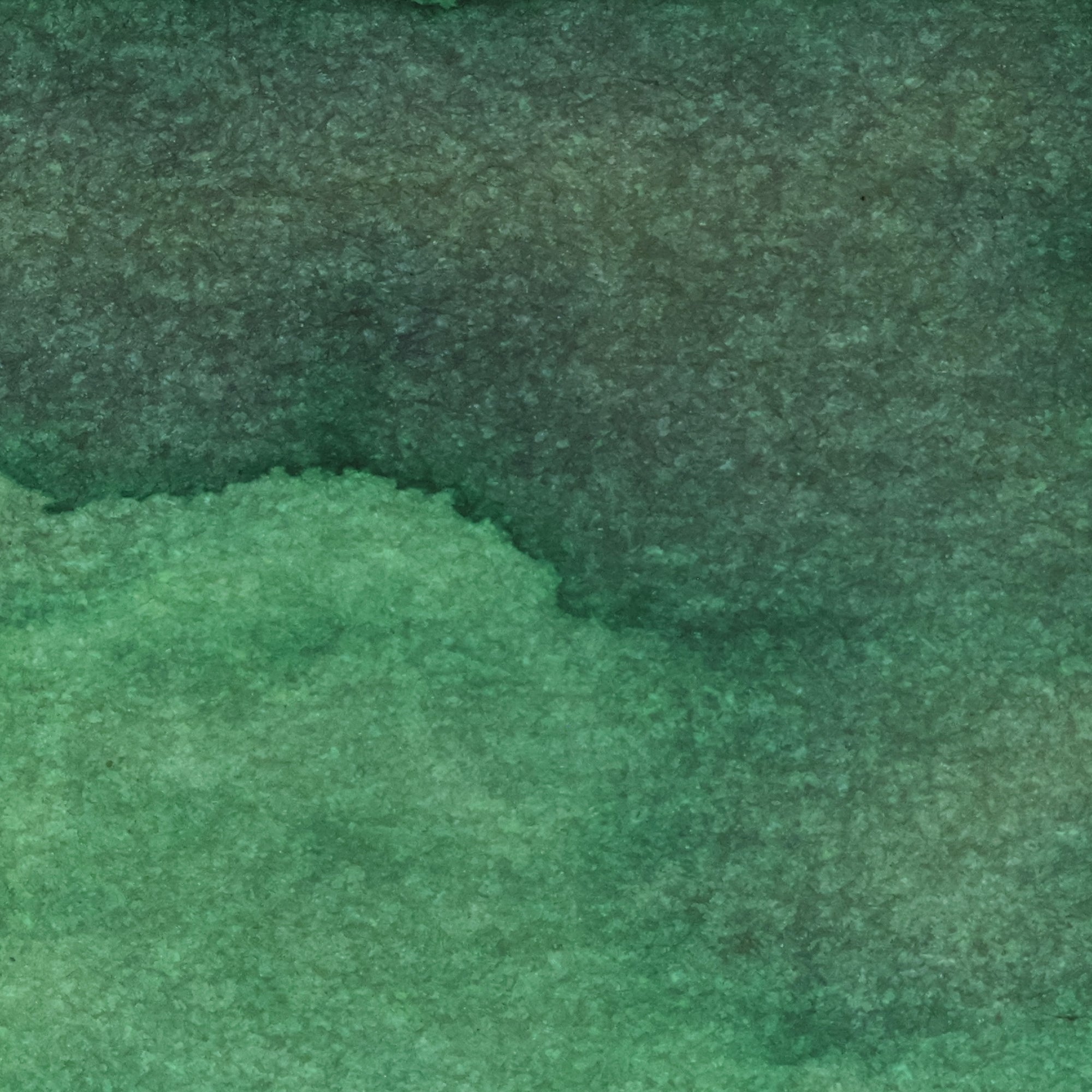 Kentucky Bluegrass