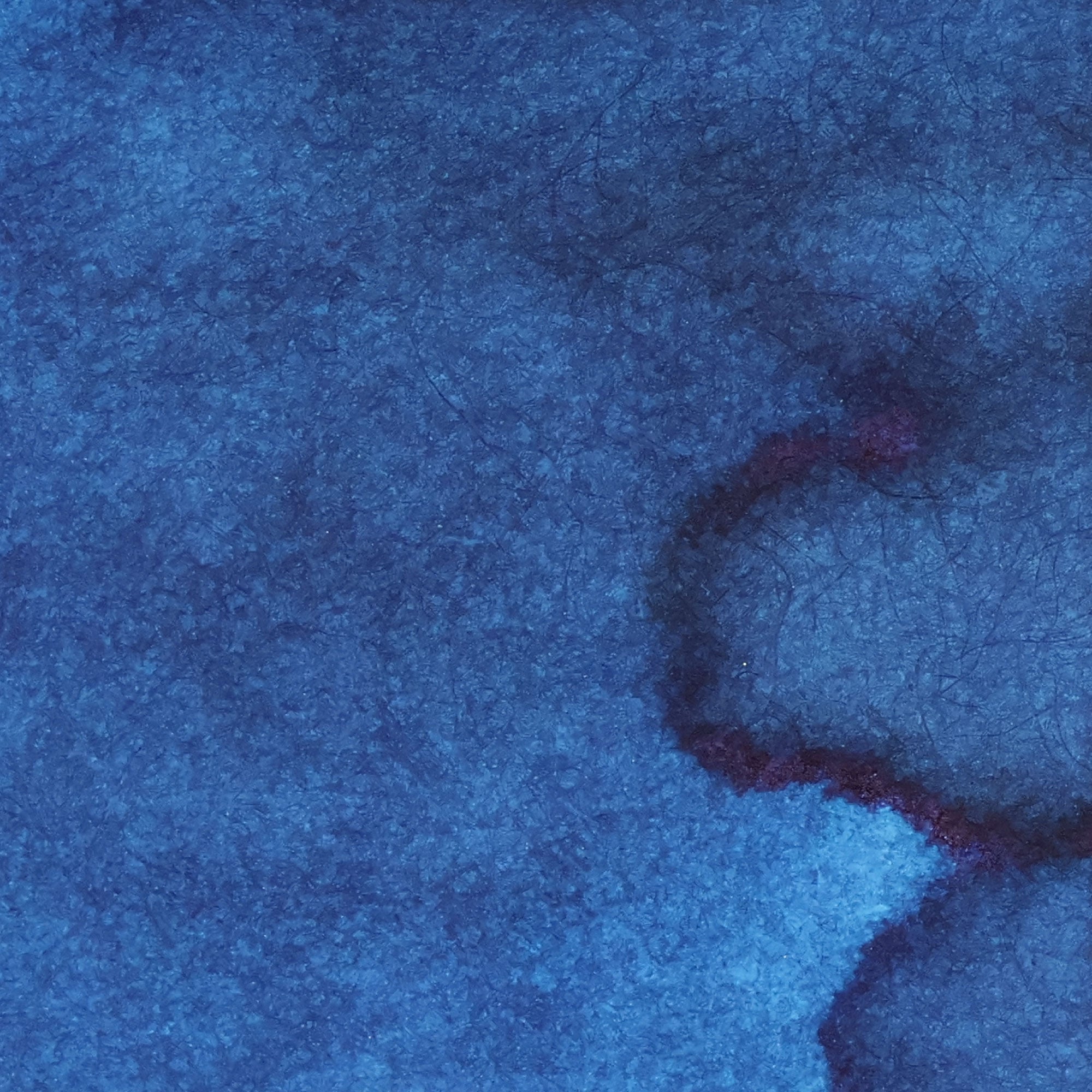 Blue Ribbon