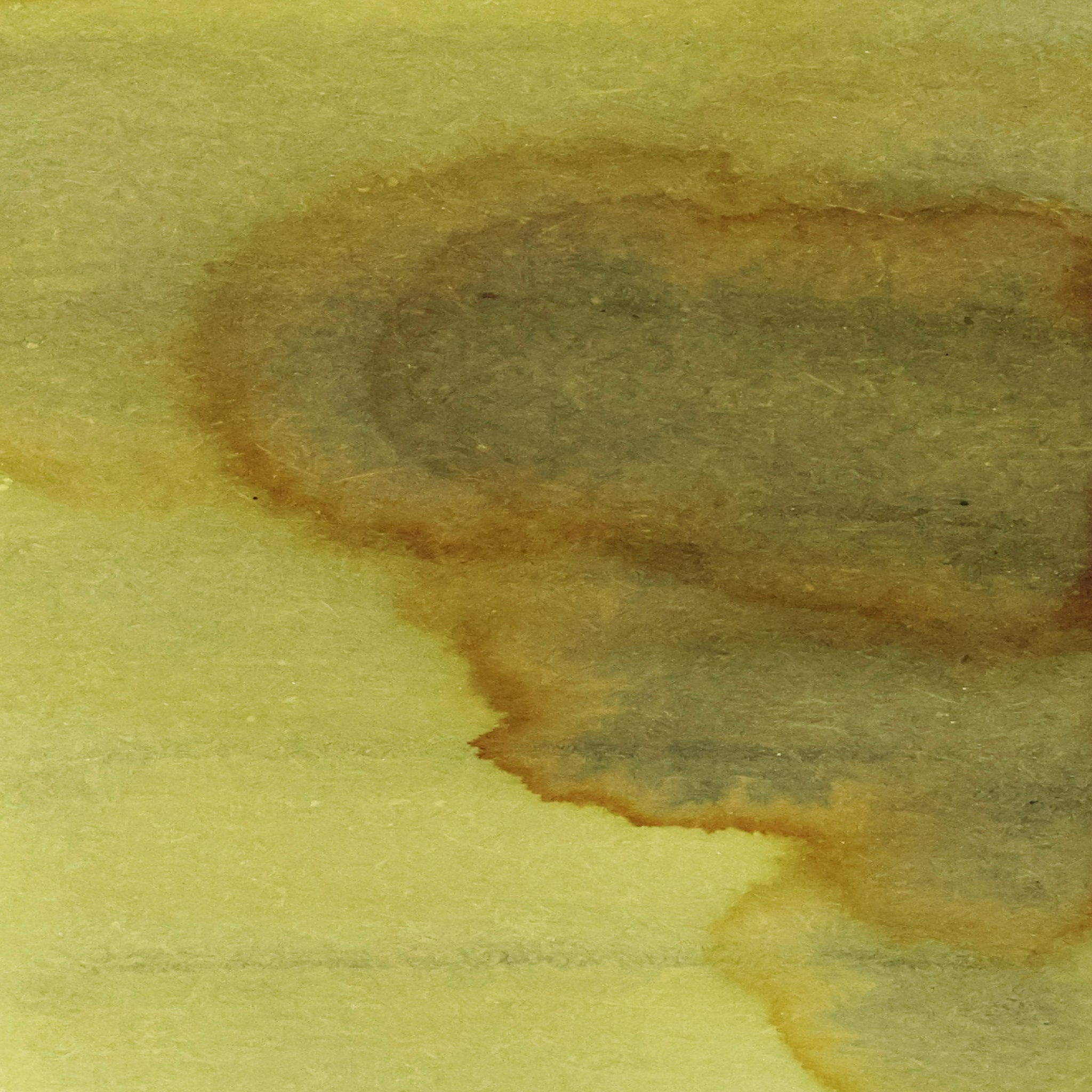 Horseradish Mustard
