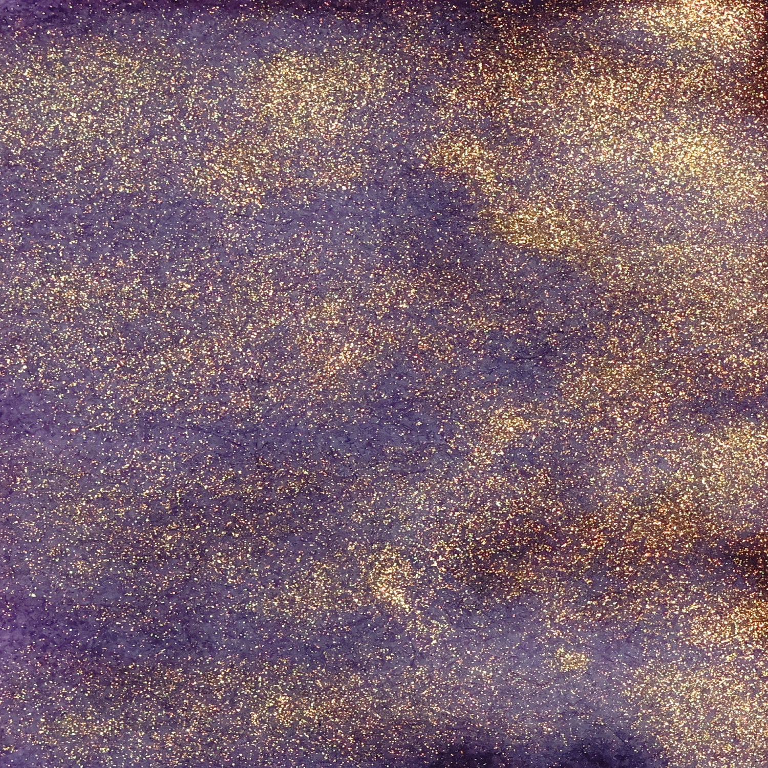 Purple Heart Urchin Twinkle